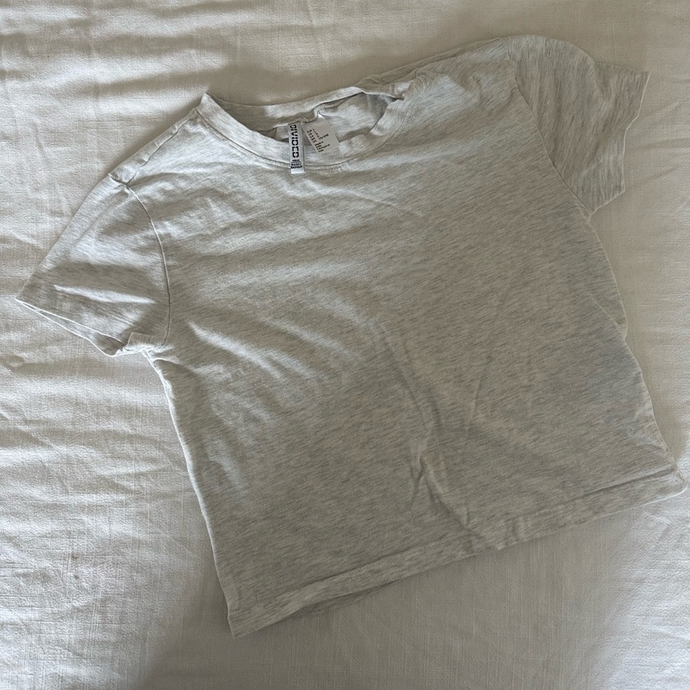 H&M cropped gray fitted baby tee